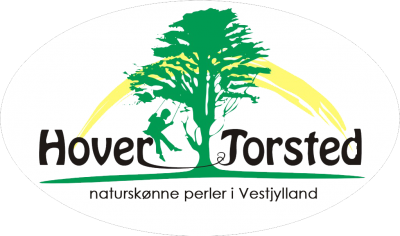 hover-torsted-logo